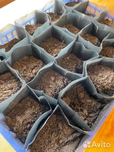 Пакеты для рассады 0,5 литра