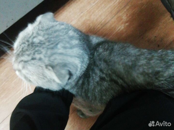 Продам за 500