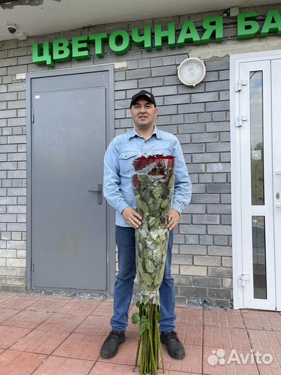 Розы высокие 150 см