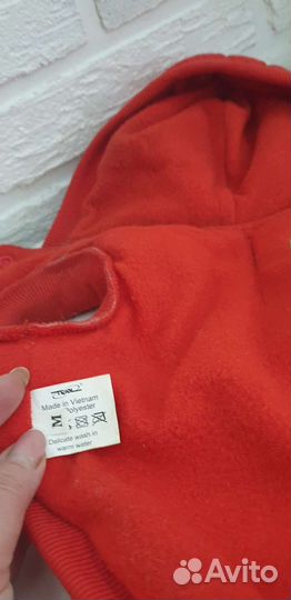 Наряды для мелкой породы собак