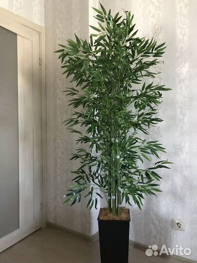 Искусственные деревья Фикус Пальма Бамбук