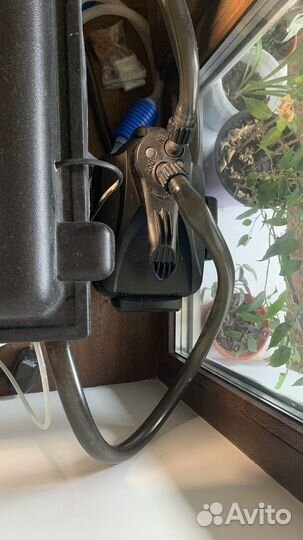 Готовый аквариум