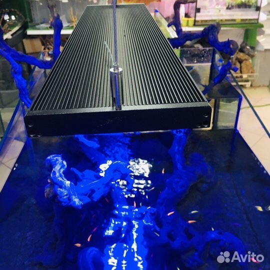 Аквариумные светильники 