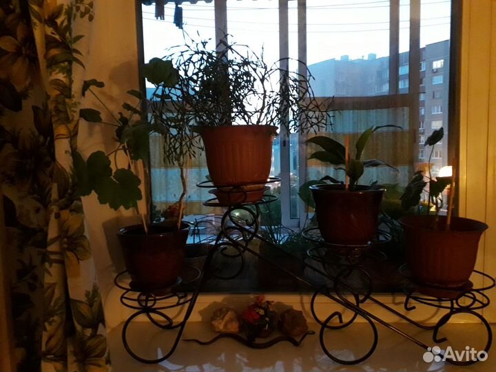 Полки для цветов, подставки, горшки