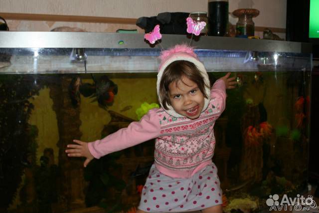 Аквариум панорамный