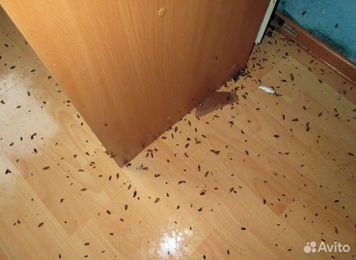 Мастер на час