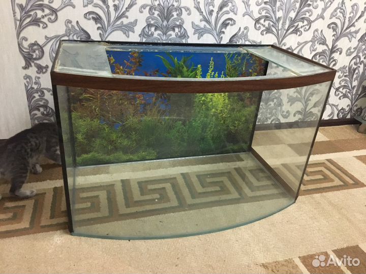 Аквариум
