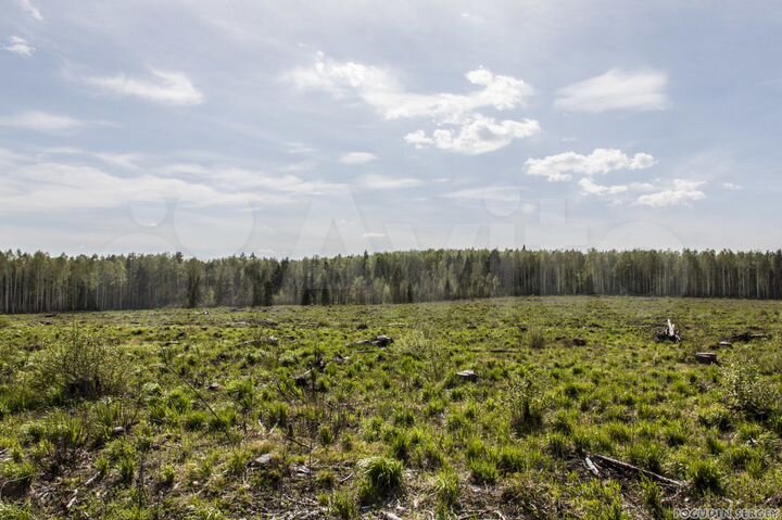 Участок 15 сот. (ИЖС)