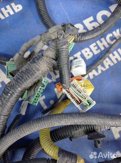 Проводка Honda Accord 7 седан K24A 2006