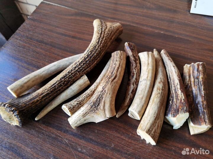 Рога для рукоятки, подделки. Заготовка