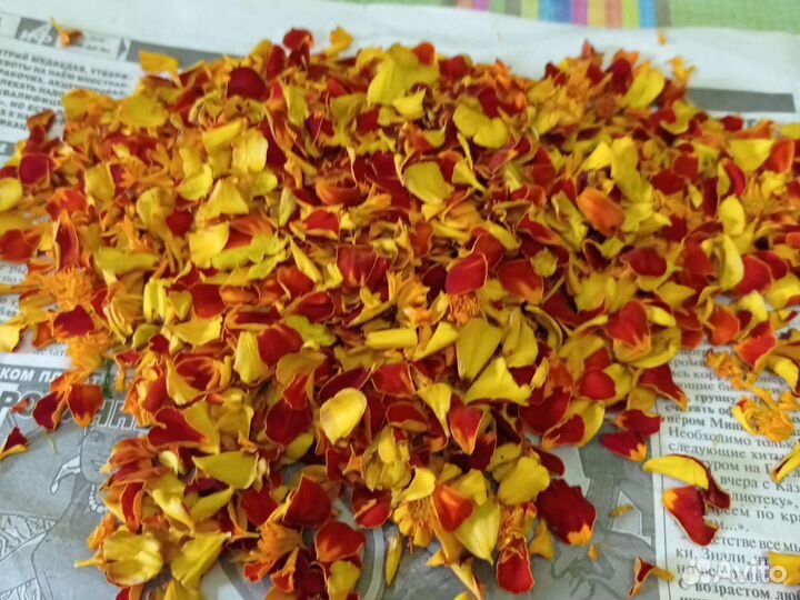 Цветы бархатцев