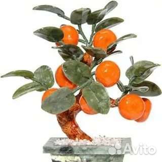 Мандариновое дерево, 8 и 12 плодов