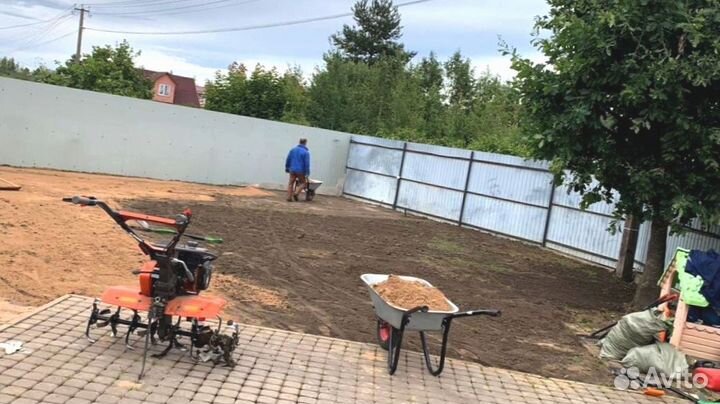 Рулонный газон