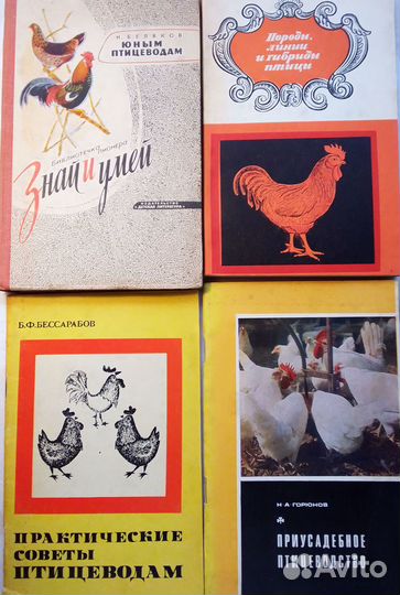 Птицеводство. Инкубация яиц. Гуси. Куры. Индейки