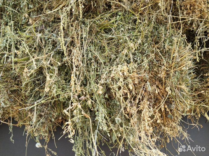 Сено люцерны в тюках