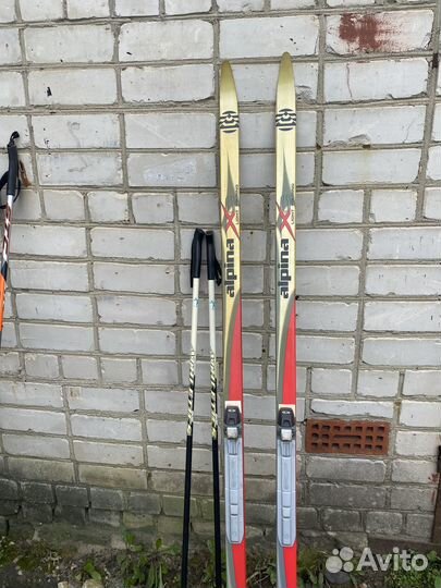 Беговые лыжи