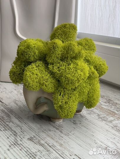 Кашпо со стабилизированным мхом «Слоник»