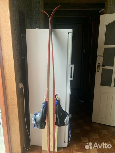 Беговые лыжи