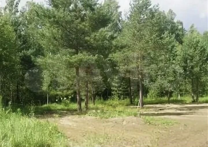 Участок 10 сот. (СНТ, ДНП)