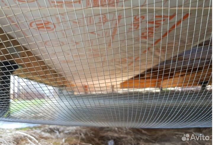 Сетка от грызунов 6х6х0,6 оцинкованная сварная