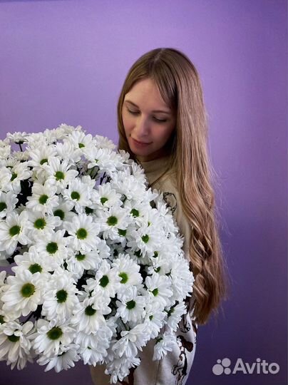 Букет ромашек. Цветы. Доставка