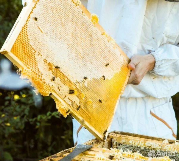 Мед 2023г натуральный