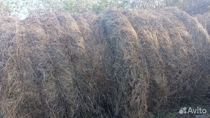 Сено рулоны