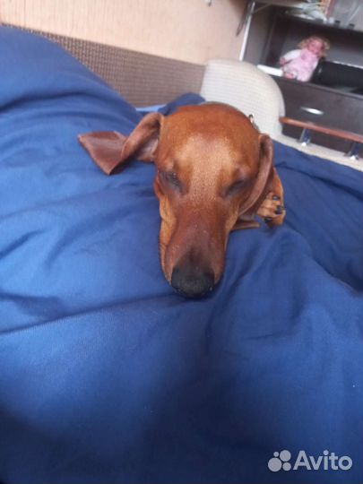 Вязка кабеля