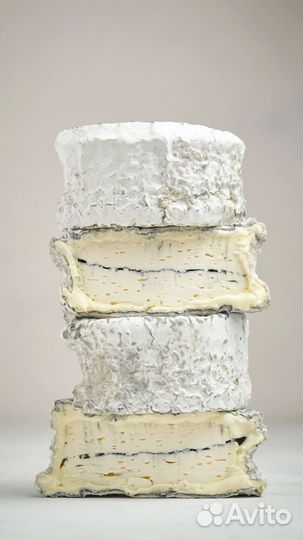 Сыр Том Ред