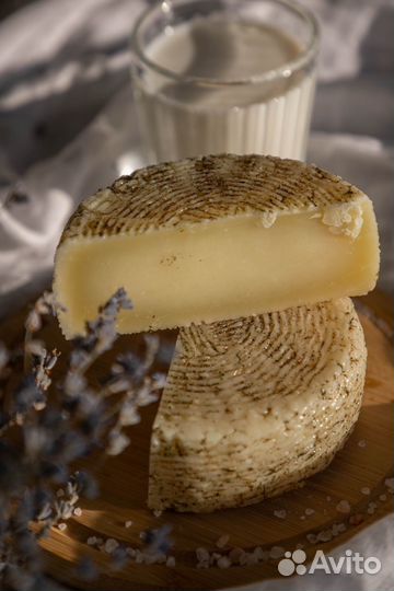 Молоко, сыр