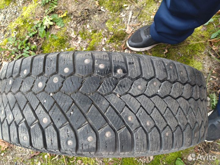 Gislaved Nord Frost 200 195/65 R15