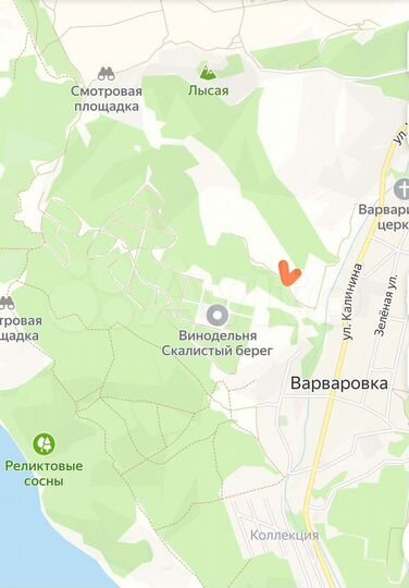 Участок 48 сот. (СНТ, ДНП)