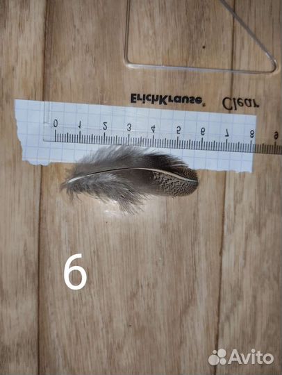 Перья для вязания мух