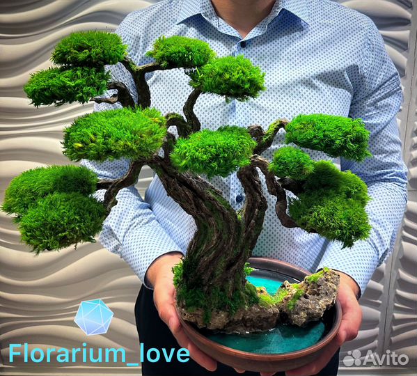 Флорариумы и моссариумы