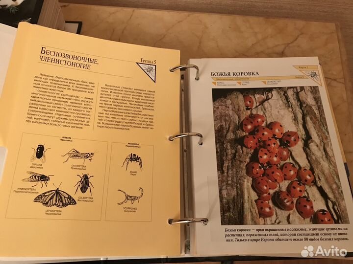 Книги (наборная коллекция) 