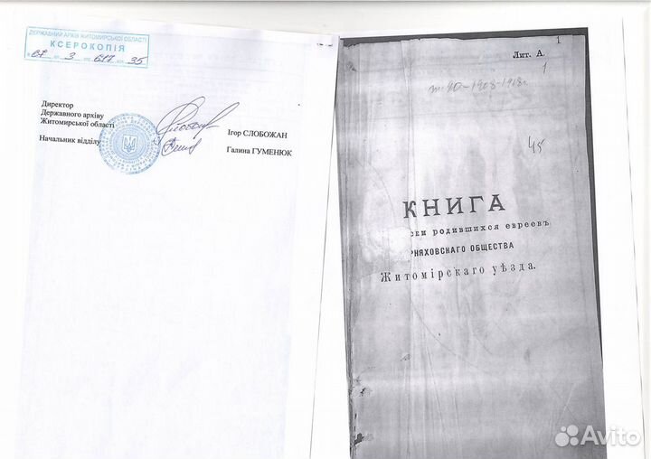 Еврейские,Польские,Румынские,корни архив Украины