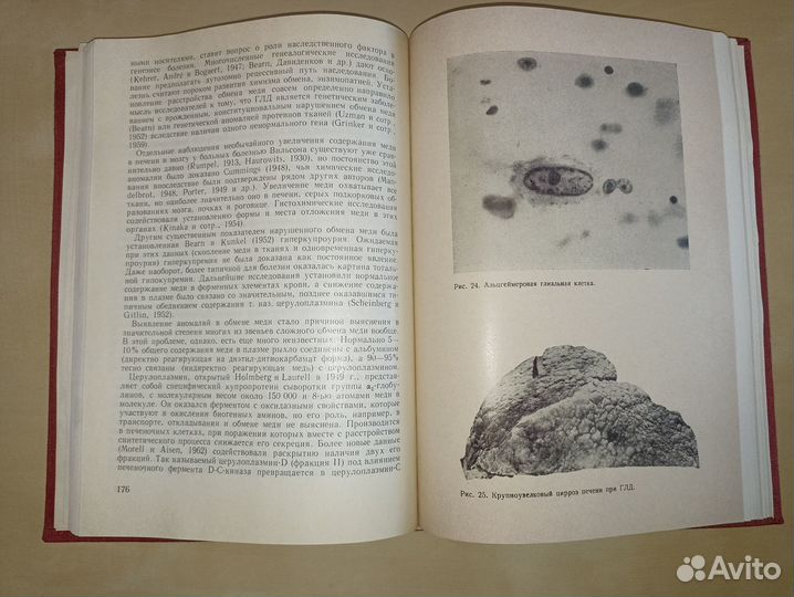 Синтетическая неврология. Божинов. 1967