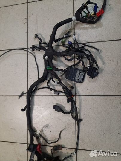 Жгут проводов KTM Duke 390 2019