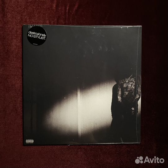 Винил Destroy Lonely «No Stylist»