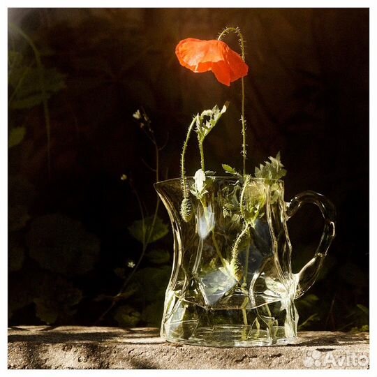 Bastua IKEA посуда бастуа икея 2023 новинка