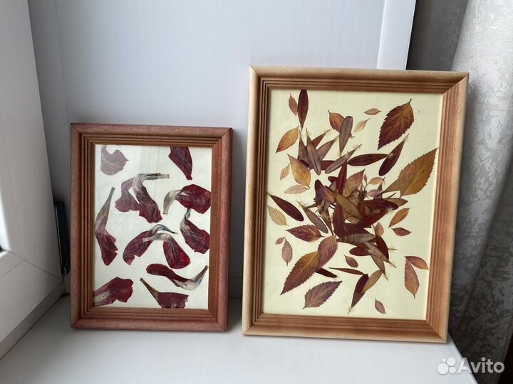 Панно на стену. Гербарий