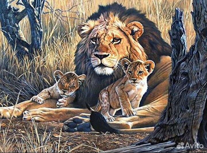 Картины алмазная мозаика 40*50