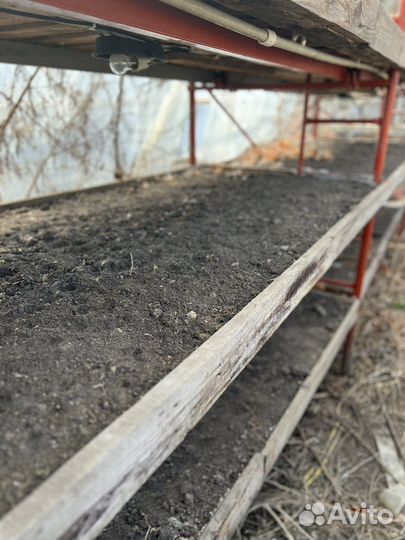 Теплица промышленная бу с домом