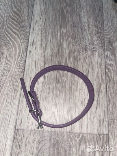 Ошейник для собак