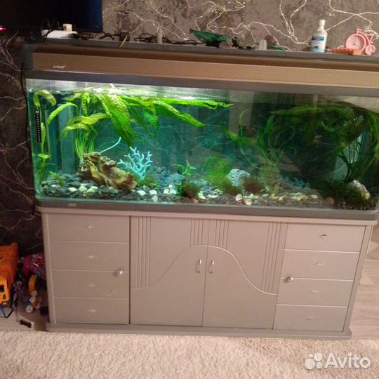 Аквариум