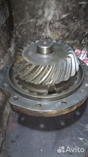 Редуктор задний ивеко тракер (23/36)