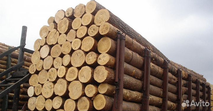 Лес кругляк Деловой