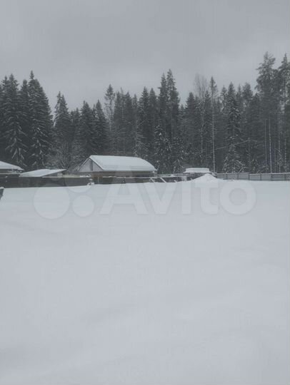 Участок 12,5 сот. (ИЖС)