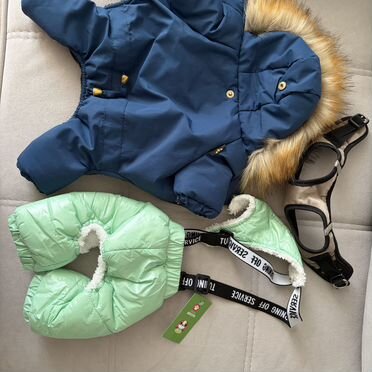 Одежда для маленьких собак xs