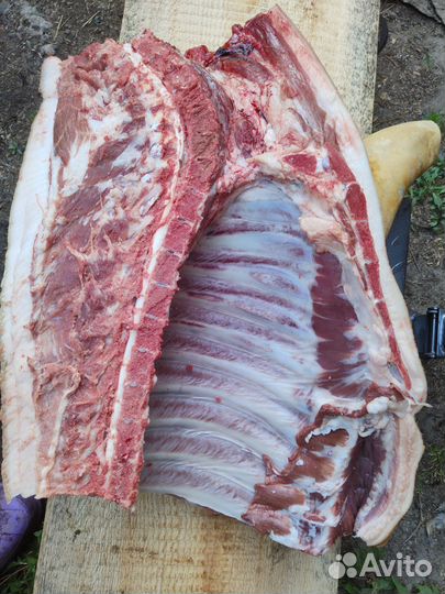 Мясо свинина домашняя